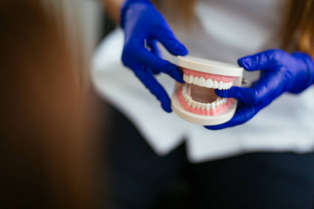 Best General Dentistry  in Grant, MI